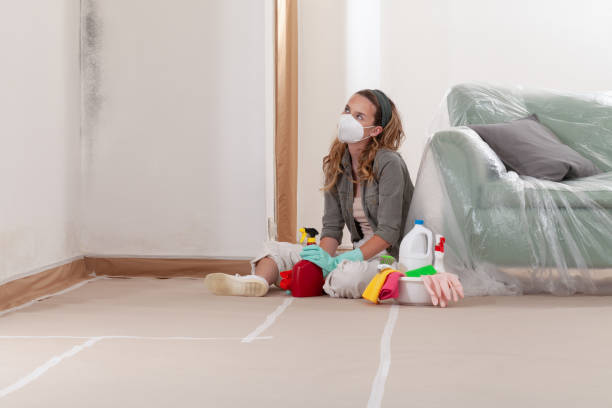 Reliable Mold Remediation contractor in Mill Creek, PA by WQB Mold Removal